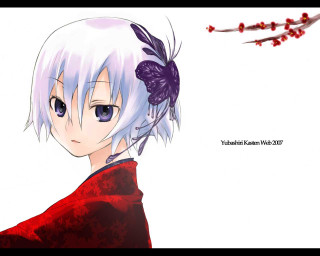White hair blue eyes butterfly - white hair free wallpaper