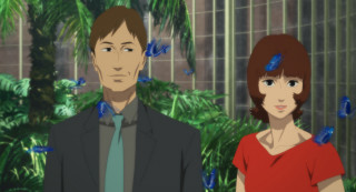 Man woman blue butterflies garden - a man and a woman free wallpaper