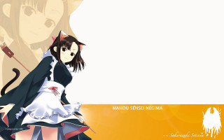 Anime cat maid kimono brown - her back and a cat free wallpaper