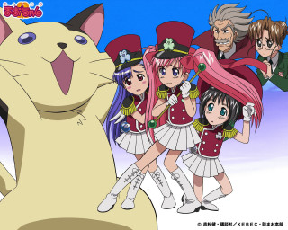 Anime group cat rococo album - a cats head free wallpaper