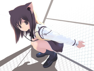 Woman cat ears fence anime - a fence free wallpaper