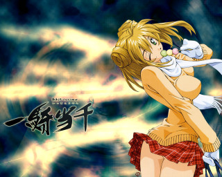 Woman sweater skirt cat knife - her hand and a cat free wallpaper
