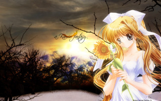 Girl white dress sunflower sunset - overhead free wallpaper