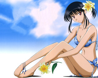 Woman bikini flower sitting beach - her hair and a flower free wallpaper