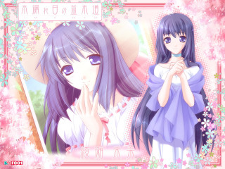Purple hair girl cherry blossoms - her head free wallpaper