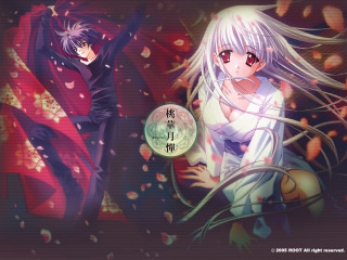 Anime couple kimono cherryblossoms whitehair - neoromanticism free wallpaper