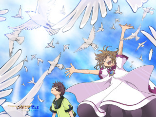 Flying man woman birds angel - bird free wallpaper for desktop