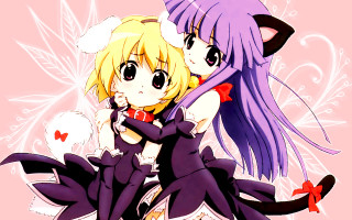 Anime girls hug cat heart - their chest free wallpaper