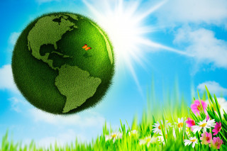 Green earth grass flowers blue - a blue sky free wallpaper