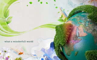 Green globe plant growing leaves - a green plant free wallpaper