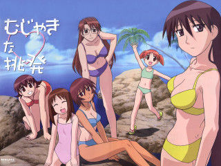 Beach girls palm tree bathing - suit free wallpaper