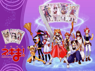 Anime cards purple asian girls - tarot card free wallpaper
