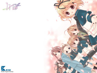 Anime girls cherry blossoms school 2 - a white background free wallpaper