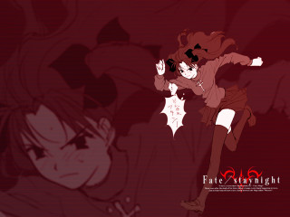 Shirou rin autodestructive poster ufotable - ufotable free wallpaper