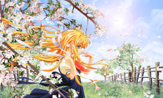 Girl branch flower anime sky 2 - a flower free wallpaper