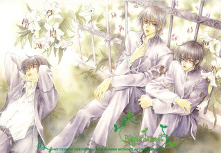 Couple sitting flowers fence manga - a fence free wallpaper