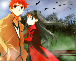 Anime couple field birds saber - overhead free wallpaper