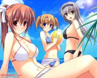 Three anime girls beach ball - a ball free wallpaper