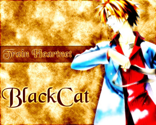Anime sword gothic black cat - a sword free wallpaper