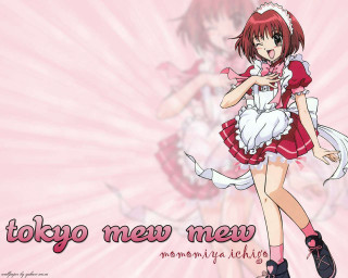 Girl red dress maid pink - a pink background free wallpaper
