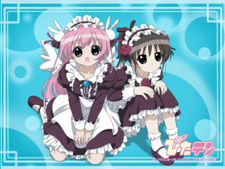Pink angelic maid sitting flower - outfit free wallpaper