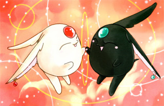 Black cat white cat kissing - a white cat free wallpaper