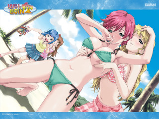 Group women bikinis water palm - palm tree free wallpaper