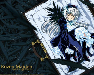 White hair black hair sword - white hair free wallpaper