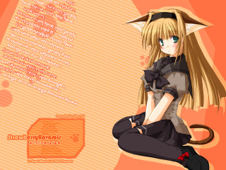 Anime catgirl blonde green eyes - a cat ear free wallpaper