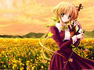 Woman field violin blonde autumn - a woman in a field free wallpaper