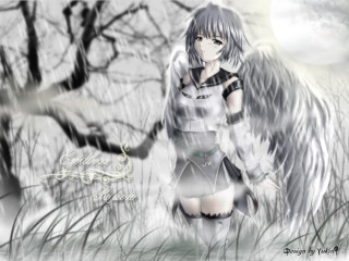 Angel girl field moon wings - an angel free wallpaper
