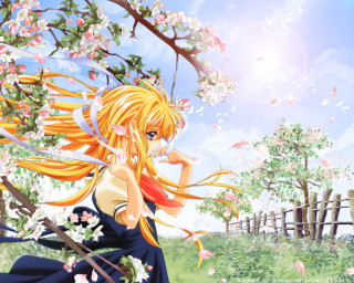 Girl long hair tree flowers - long hair free wallpaper for desktop
