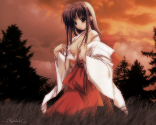 Woman red dress field trees 2 - a red sky in the background free wallpaper