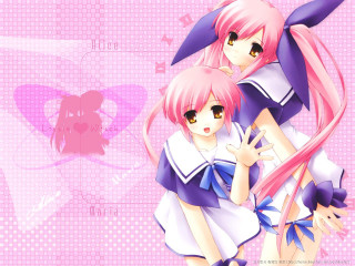 Pink haired sisters anime posing - a picture together in front free wallpaper