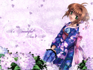 Girl blue dress flower field - a field of flowers free wallpaper
