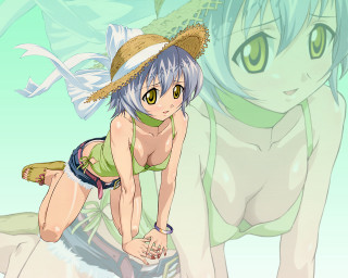 Girl bikini surfboard cat dog - a surfboard free wallpaper