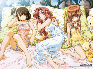 Three girls bed stuffed animal 2 - three girl free wallpaper