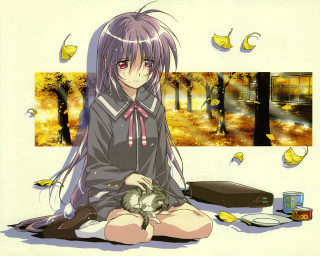 Girl cat ribbon school moon - the wall free wallpaper
