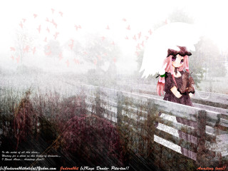 Girl umbrella rain cat bird - overhead free wallpaper