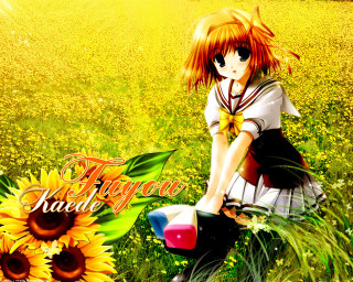 Girl bike sunflowers tokyo album - the background free wallpaper