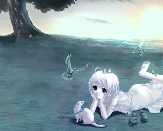 Girl cat bird beach nature - the ground next free wallpaper