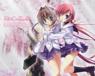 Anime girls hugging pink cherryblossoms - background free wallpaper