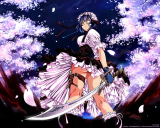 Woman dress sword cherryblossoms night - pink flower and leaves free wallpaper