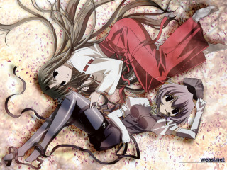Anime girls hanami cherry blossoms - top of them free wallpaper