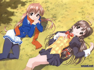 Anime girls autumn grass school - stuffed free wallpaper