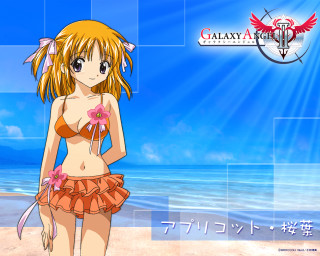 Girl beach bikini flower sky - a girl in a bikini free wallpaper