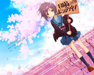 Girl sign cherryblossoms anime spring - a sign free wallpaper