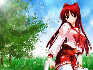 Girl red dress grass tree - a tree in the background free wallpaper