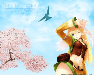 Blonde woman green dress bird - overhead free wallpaper