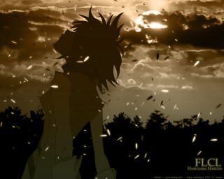 Silhouette sunset birds feathers clouds - ufotable free wallpaper